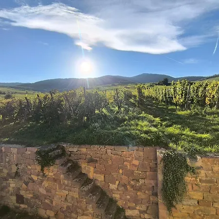Au Pied Des Vignes בית נופש